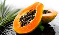 İran’da Orta Amerika Kökenli Lüks Meyve “Papaya” Hasadı Başladı