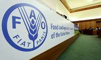   İran Tarım Bakanı: FAO’da “İran Odası”nın Yeniden Açılması, On Dördüncü Hükümetin Diplomatik Başarılarından Biri