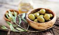 Zeytin İhracatında Büyüme İçin Markalaşma ve Yenilikçi Teknolojiler