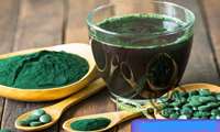 Spirulina’da Buşehr Farkı: İl Su Ürünleri Müdürlüğü’nden Bilgi Temelli Üretimde Çığır Açan Girişim