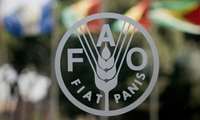 İran, FAO’nun Sınır Aşan Hayvan Hastalıkları Küresel Ortaklık Programı’na katıldı