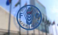 FAO’nun Gıda Silahına Karşı Planı