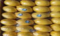 Cehrom’dan Lizbon Limonu ve Hurma İhracatı Komşu Ülkelere