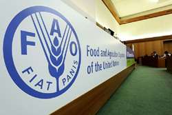   İran Tarım Bakanı: FAO’da “İran Odası”nın Yeniden Açılması, On Dördüncü Hükümetin Diplomatik Başarılarından Biri