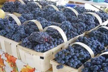 IMG_20260719_002854_333