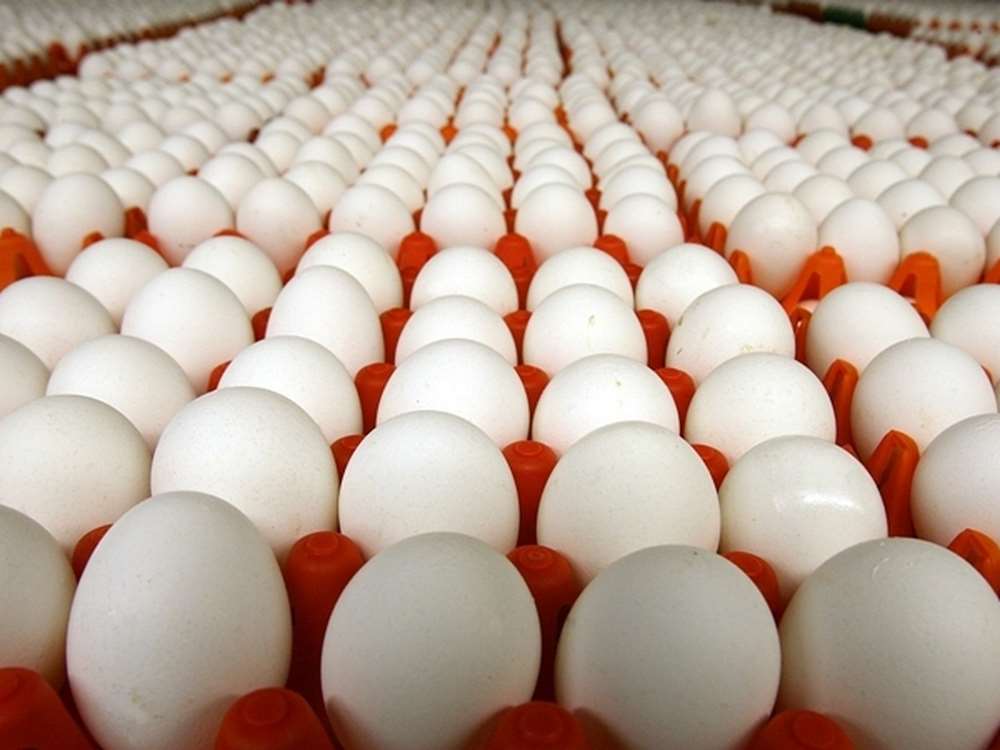 Doğu Azerbaycan’dan yumurta ihracatı geçen yıla göre yüzde 79 arttı. 