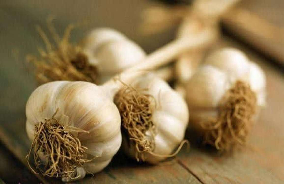 Esadabad, yüksek kaliteli yabani sarımsak üretimiyle Hemedan’ın uzmanlık merkezi konumunda. 