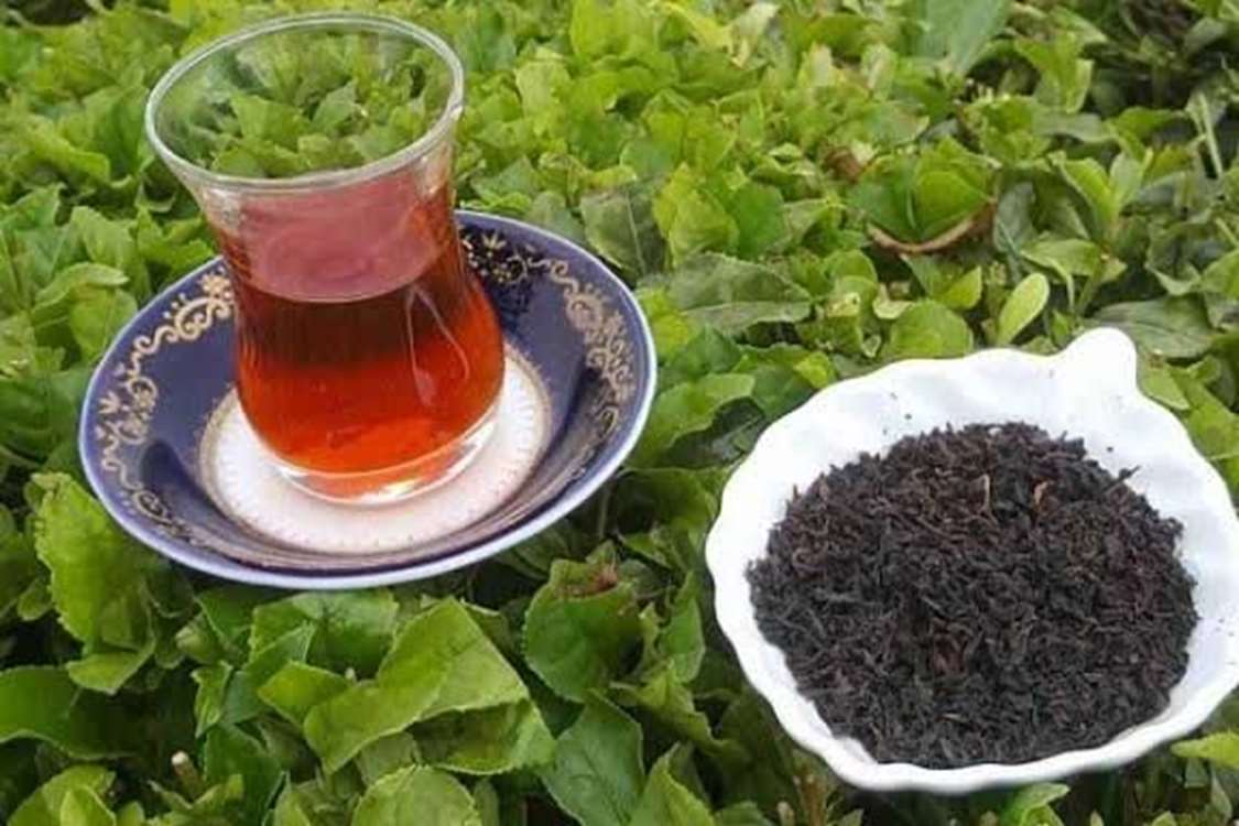 İran, 9,8 milyon kg çay ihraç ederek 12 milyon dolarlık gelir sağladı; sektörün ihracat kapasitesi güçlendiriliyor. 