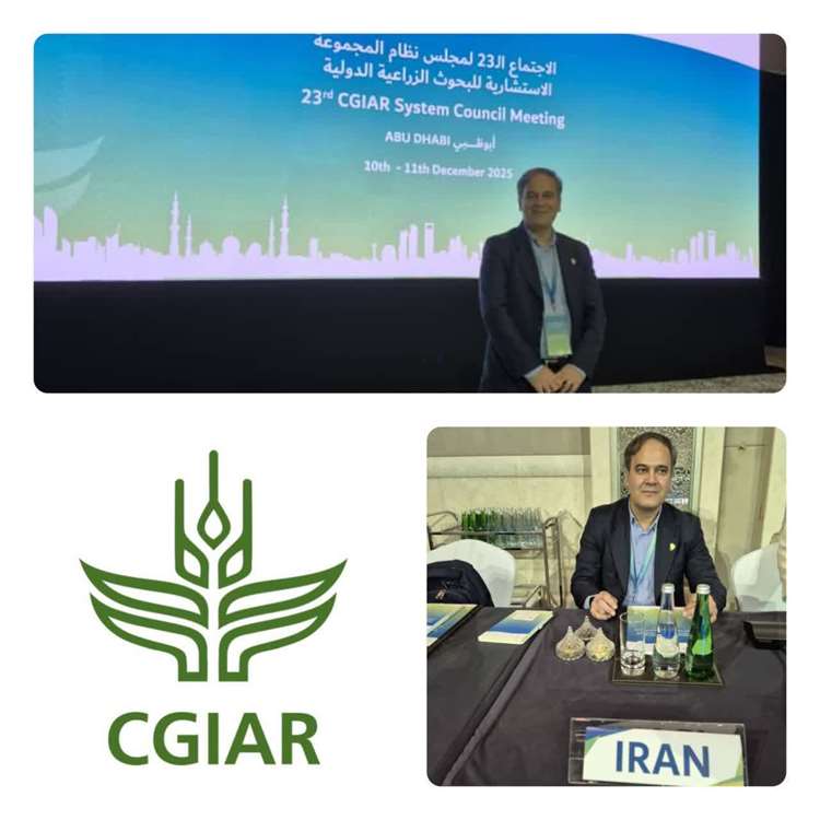 İran temsilcisi, Abu Dabi’de düzenlenen CGIAR Sistem Konseyi toplantısında bilimsel iş birliklerini ele aldı. 