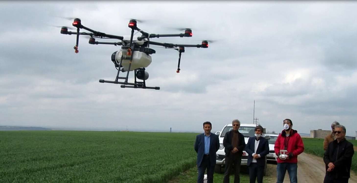 Muğan’da pamuk tarlalarında drone ile yaprak dökücü uygulaması – mekanize hasadı hızlandıran yeni yöntem. 