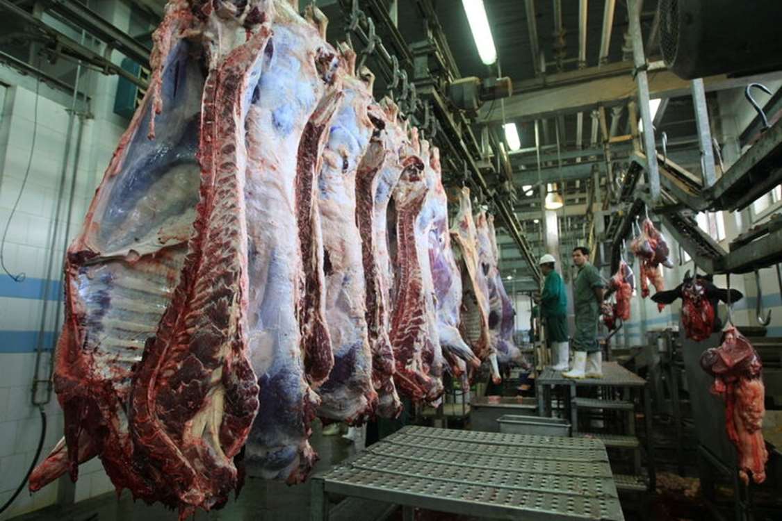İran’da kırmızı et üretiminde kendine yeterlilik için ırk ıslahı ve üretim projeleri hız kazanıyor. 
