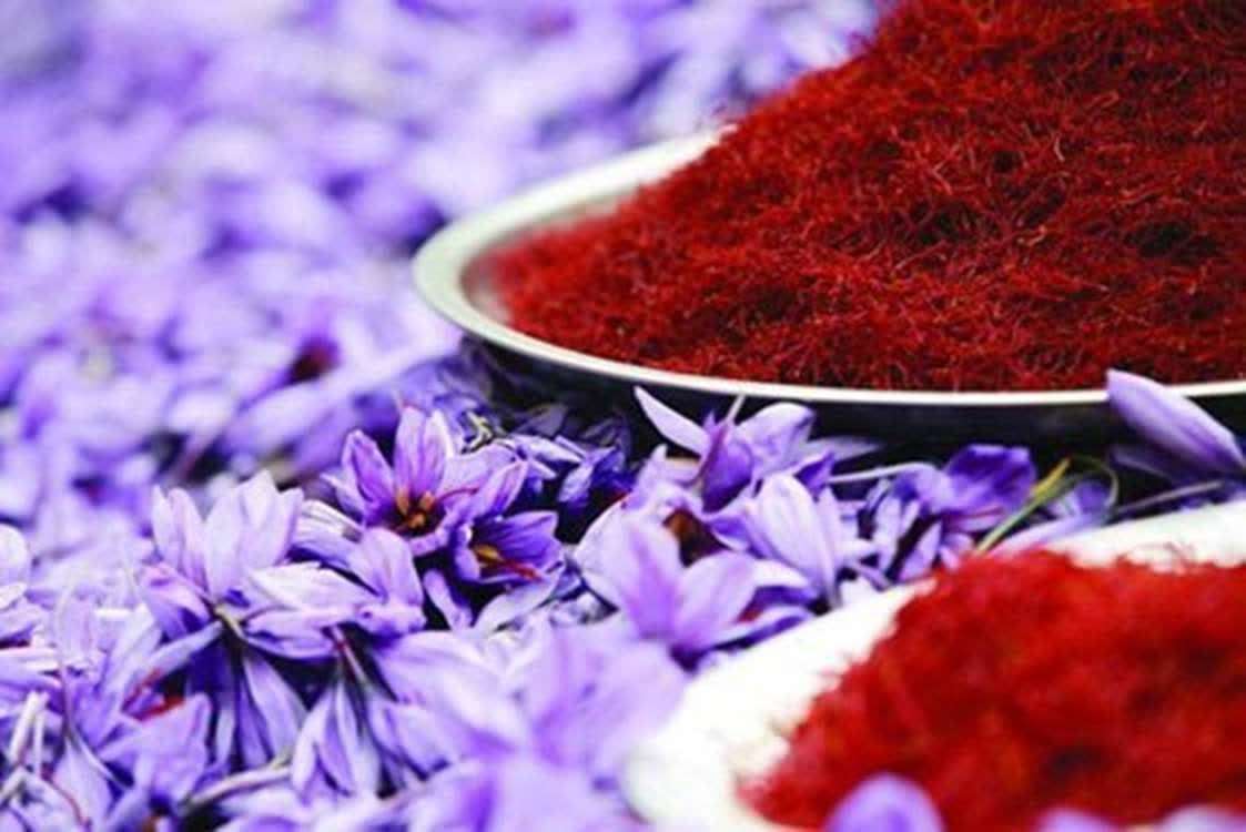 Güney Horasan, özel tarım ürünlerinde küresel konumunu güçlendiriyor. 