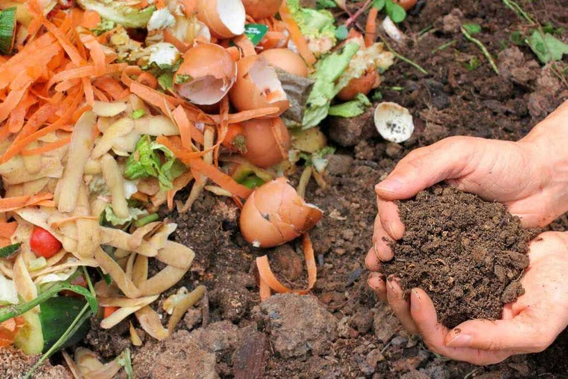 Uzman toplantısı, güneş enerjili kurutuculardan yapay zekâya kadar tarımsal kayıpları önlemenin yollarını masaya yatırdı. 