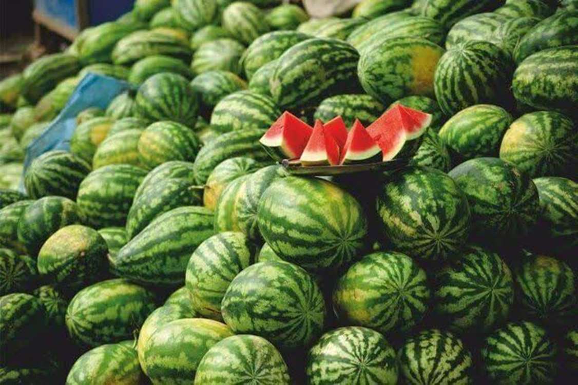 karpuz 
