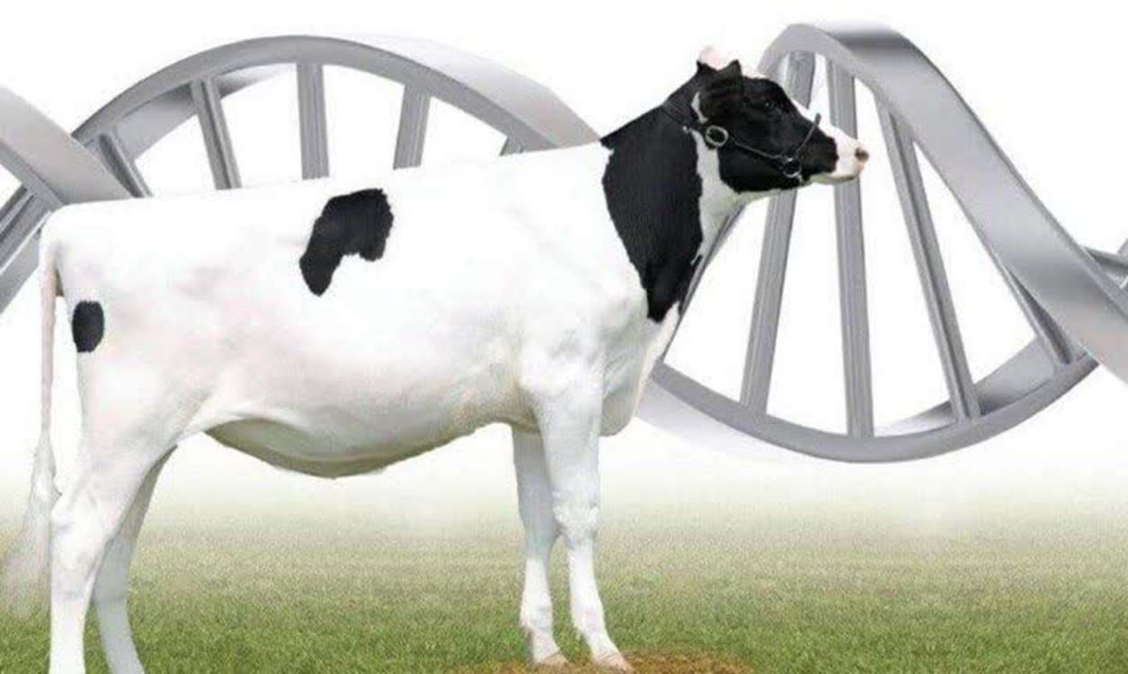 nnn 