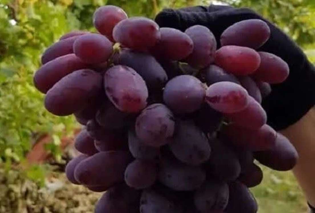 111 