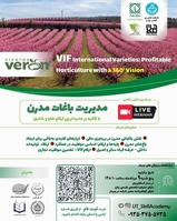 Uluslararası-Webinar