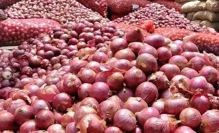 Fars Eyaletinden Türkiye’ye 8 bin 300 Ton Soğan İhracatı Eylül Sonuna Kadar Devam Edecek